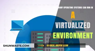 Exploring Virtualization Limits: How Many OS Can Run Simultaneously?