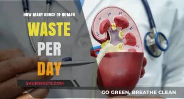 Daily Human Waste Output: Understanding Ounces Per Day