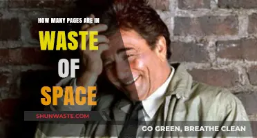 Waste of Space: Unveiling the Page Count Mystery