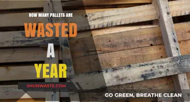 Annual Pallet Waste: Shocking Numbers and Sustainable Solutions Revealed