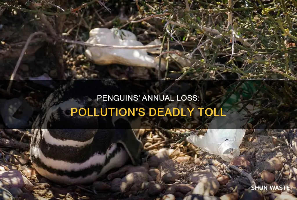how many penguins die a year from pollution