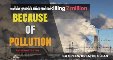 Fatal Pollution: Yearly Death Toll from Contamination