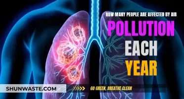 Air Pollution's Annual Victims: Counting the Affected