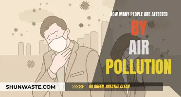 Air Pollution's Impact: Millions Suffer in Silence