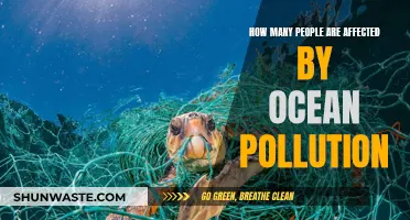 Ocean Pollution: Millions Affected and Counting