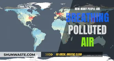 Breathing Polluted Air: A Global Crisis