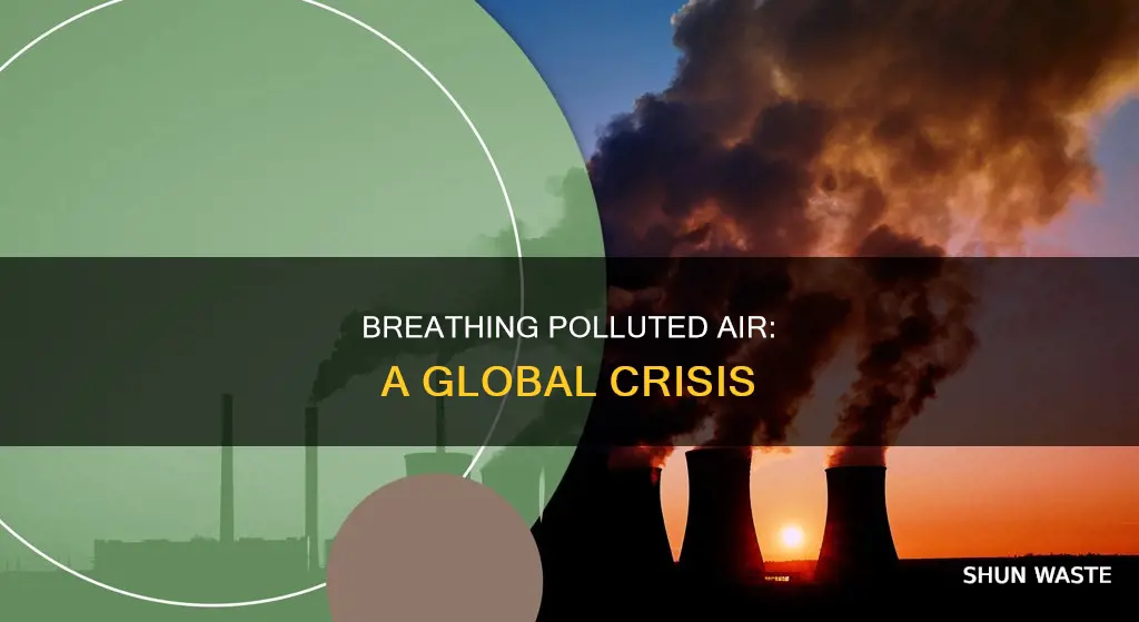 how many people are breathing polluted air