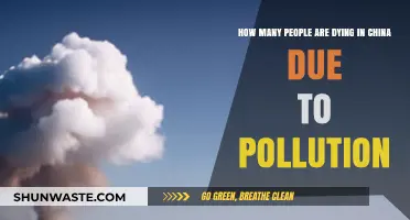 Deadly Pollution: China's Human Cost