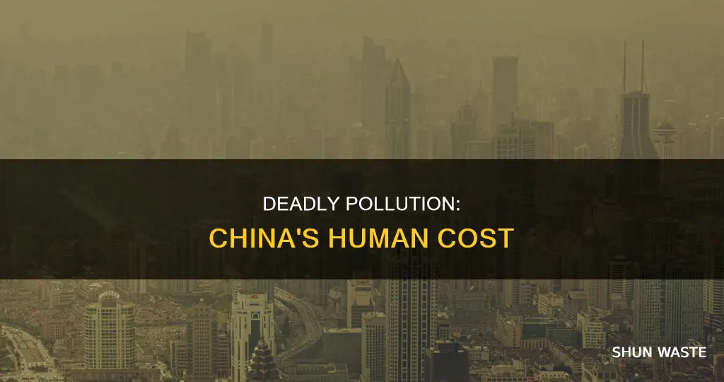 how many people are dying in china due to pollution