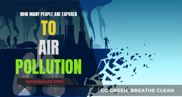 Air Pollution: Millions Breathing Toxic Air