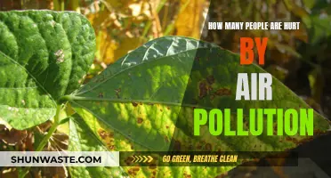 Air Pollution's Victims: Counting the Casualties