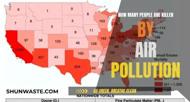 Air Pollution's Deadly Impact: Counting Fatalities