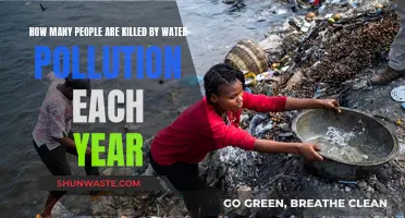 Global Water Pollution: A Silent Killer's Annual Toll