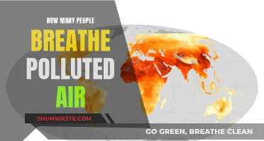 Breathing Polluted Air: A Global Health Crisis