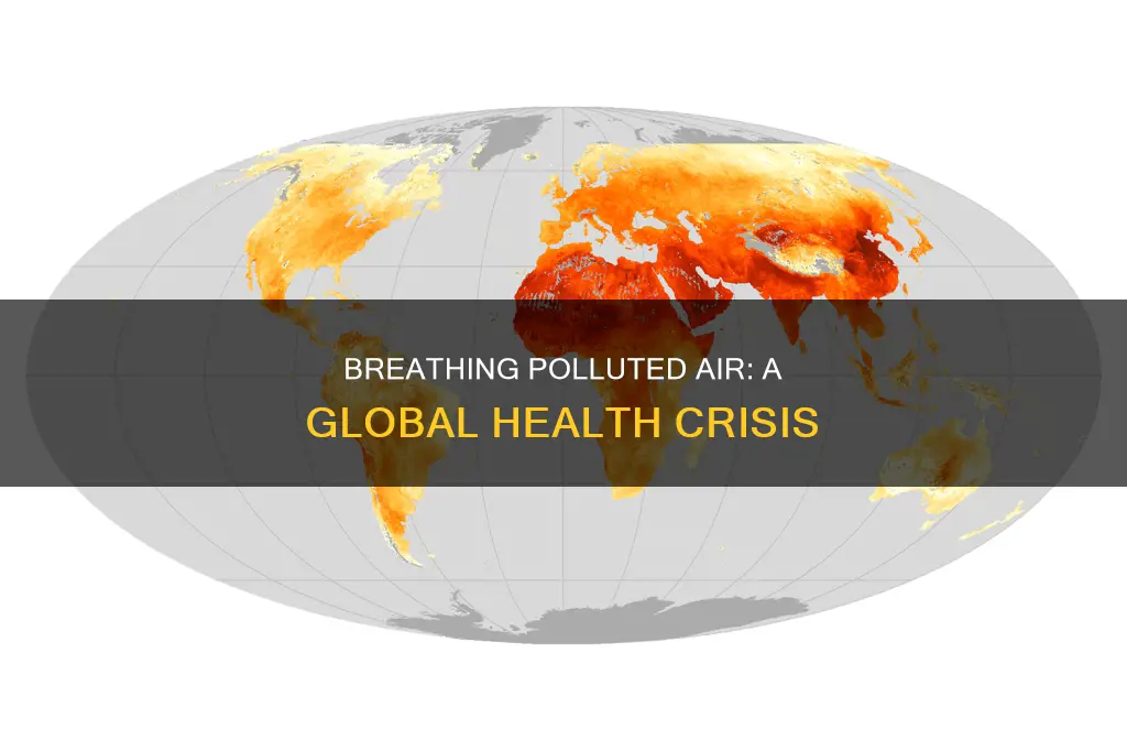 how many people breathe polluted air