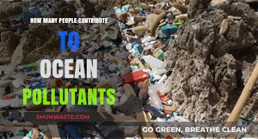 Human Impact: Ocean Pollutants and Their Sources