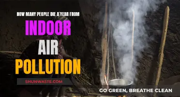 Indoor Air Pollution: A Silent Killer in Homes