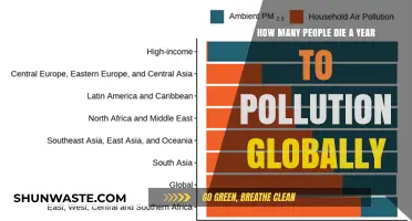 Pollution's Deadly Global Impact: Yearly Fatality Count