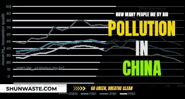Air Pollution's Deadly Toll in China