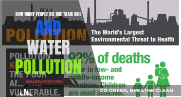 The Silent Killer: Air, Soil, and Water Pollution's Deadly Toll