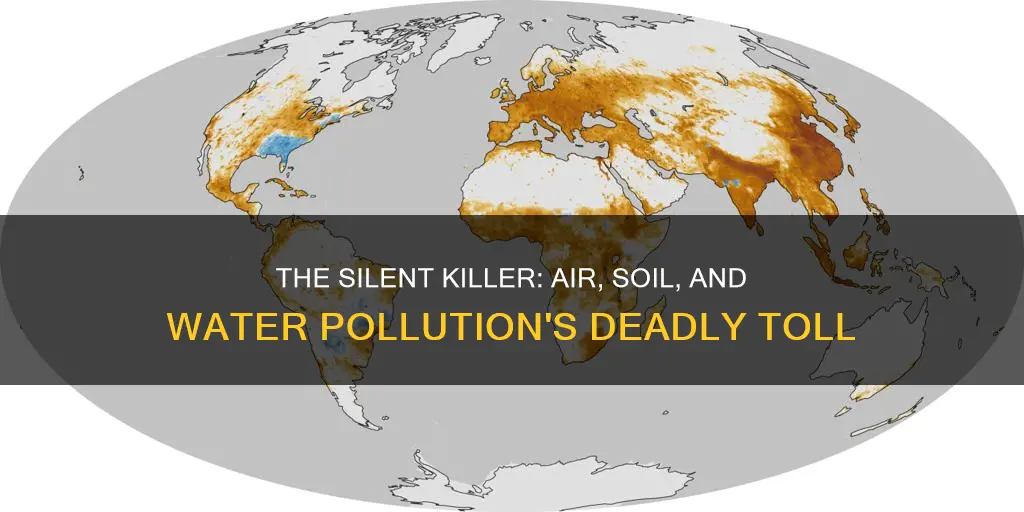 how many people die due toair soil and water pollution