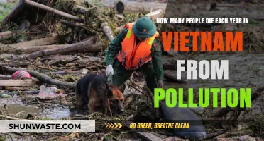 Pollution's Deadly Toll in Vietnam