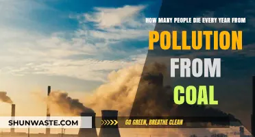 Coal Pollution's Deadly Toll: Counting the Fatalities