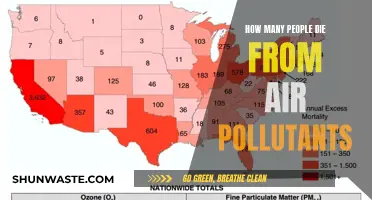 Air Pollutants: A Silent Killer, Taking Lives