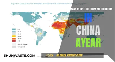 Air Pollution: China's Deadly Annual Crisis
