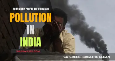 Air Pollution's Deadly Toll in India
