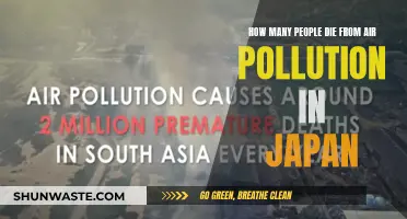 Air Pollution's Deadly Toll in Japan