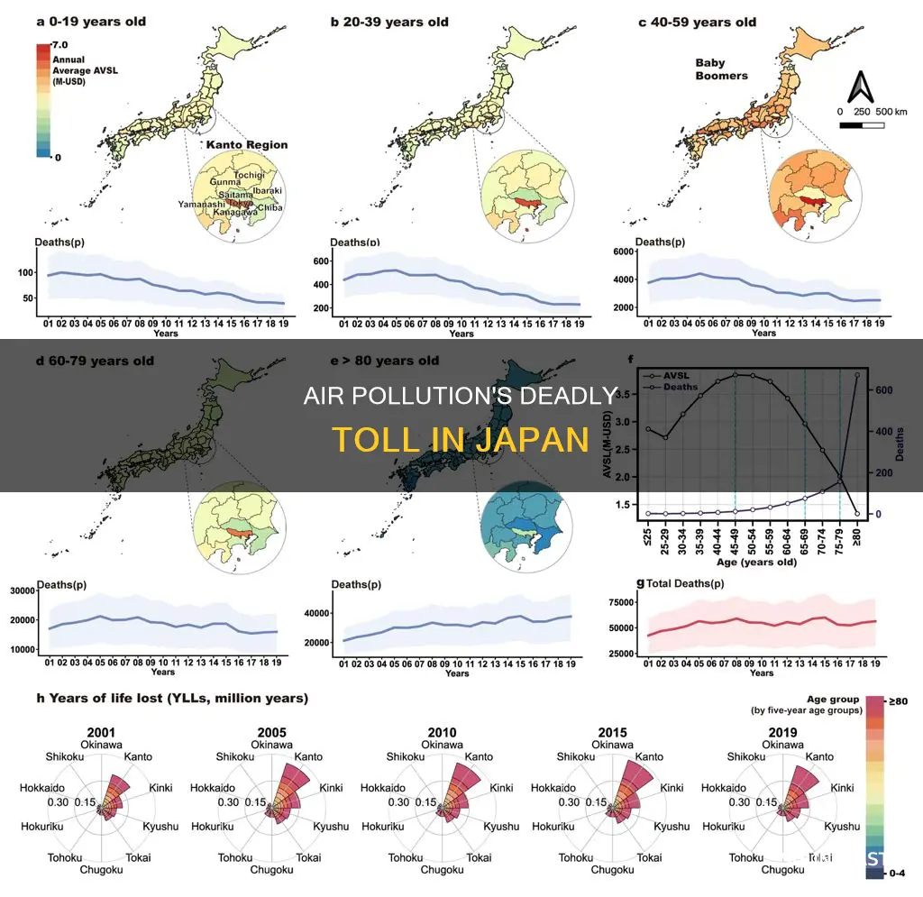 how many people die from air pollution in japan