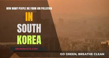 Air Pollution Deaths in South Korea: A Sobering Reality