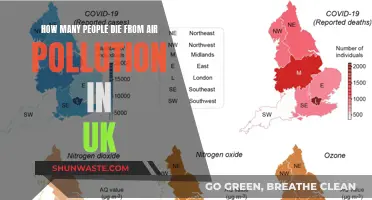 UK's Air Pollution: A Deadly Crisis