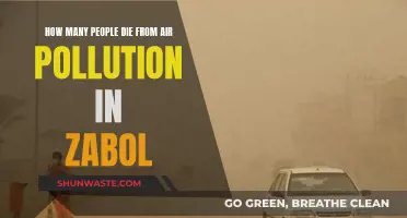 Zabol's Air Pollution: A Deadly Crisis