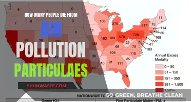 Air Pollution's Deadly Impact: Counting Fatalities
