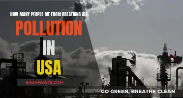 Air Pollution: A Silent Killer in the USA