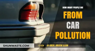 Fatal Car Pollution: The Silent Killer on Roads