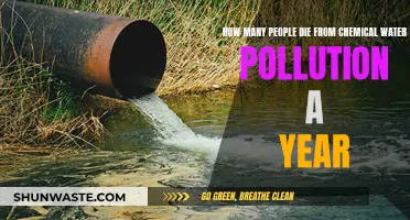 Global Chemical Water Pollution: A Yearly Death Toll Crisis