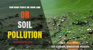 Soil Pollution: A Silent Killer, Taking Lives