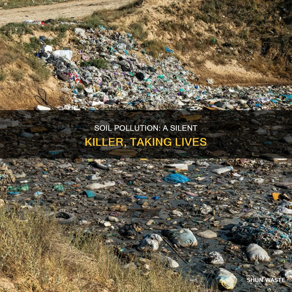 how many people die from land or soil pollution