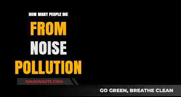 The Silent Killer: Noise Pollution's Deadly Toll