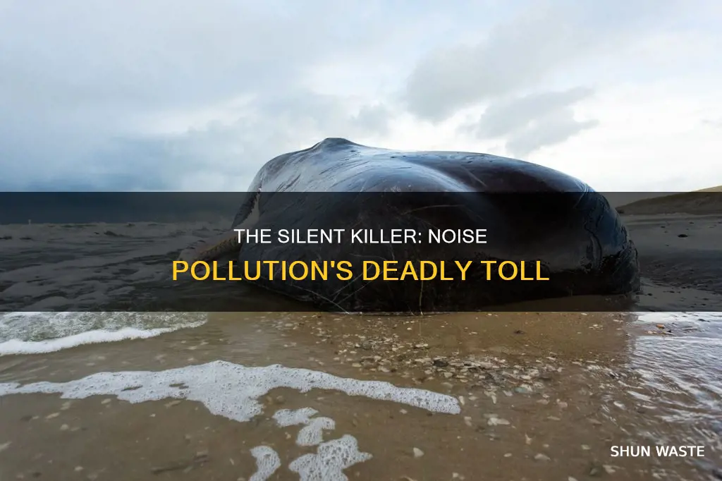 how many people die from noise pollution