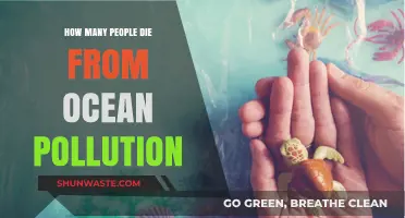 Ocean Pollution: A Deadly Crisis