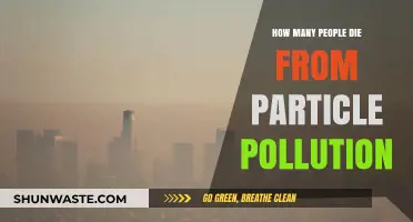 Particle Pollution: A Silent Killer's Toll