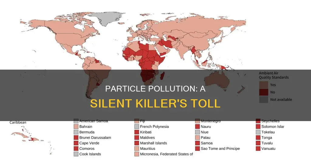 how many people die from particle pollution