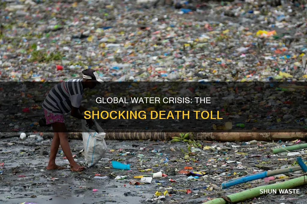 how many people die from polluted water each year