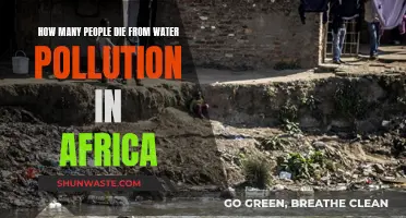 Deadly Waters: Africa's Water Pollution Crisis and Its Toll on Lives