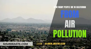 Air Pollution's Deadly Impact on Californians