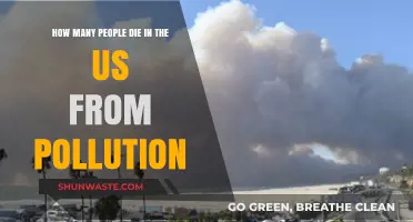 US Pollution: A Preventable Death Toll